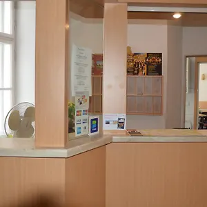Ani Viena